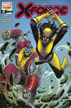Volume cover